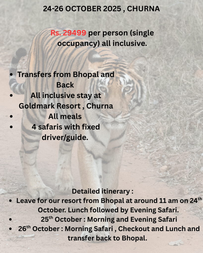 24 26 october 2025 churna details