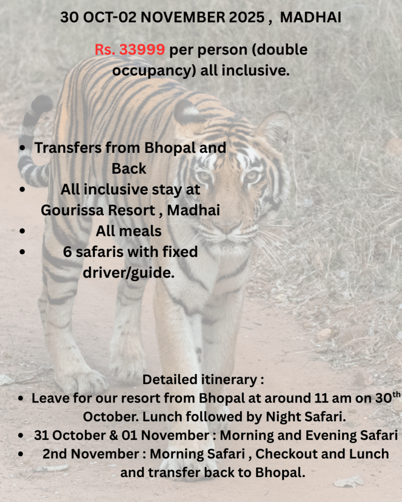 30 oct 02 nov 2025 madhai details