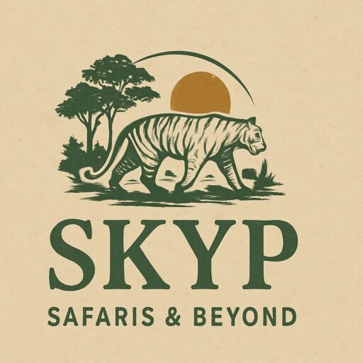 skyp logo